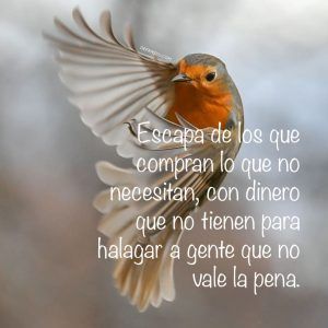 Escapa de los que compran lo que no necesitan, con dinero que no tienen para halagar a gente que no vale la pena.