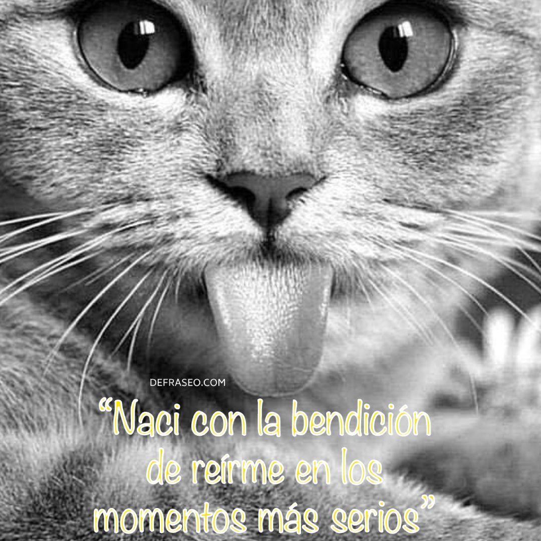 Nací con la bendición de reírme en los momentos más serios.