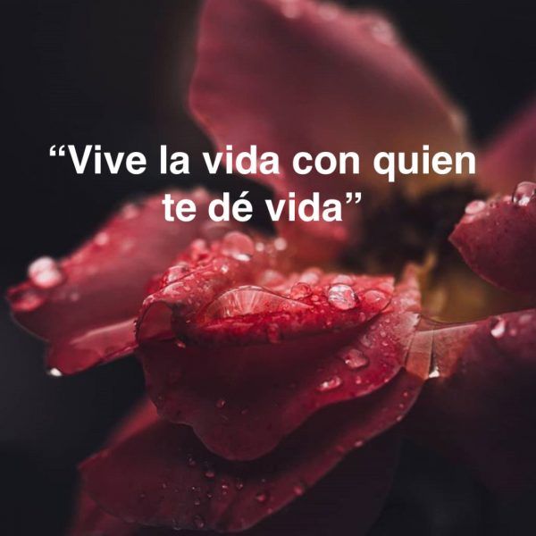 Vive la vida con quien te dé vida.