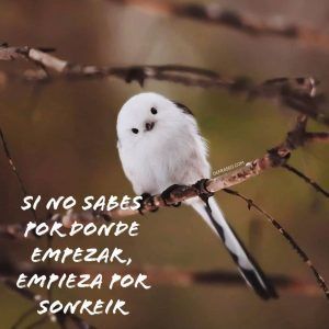 Si no sabes por dónde empezar, empieza por sonreír.