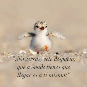 ¡No corras, vete despacio, que a dónde tienes que llegar es a ti mismo!
