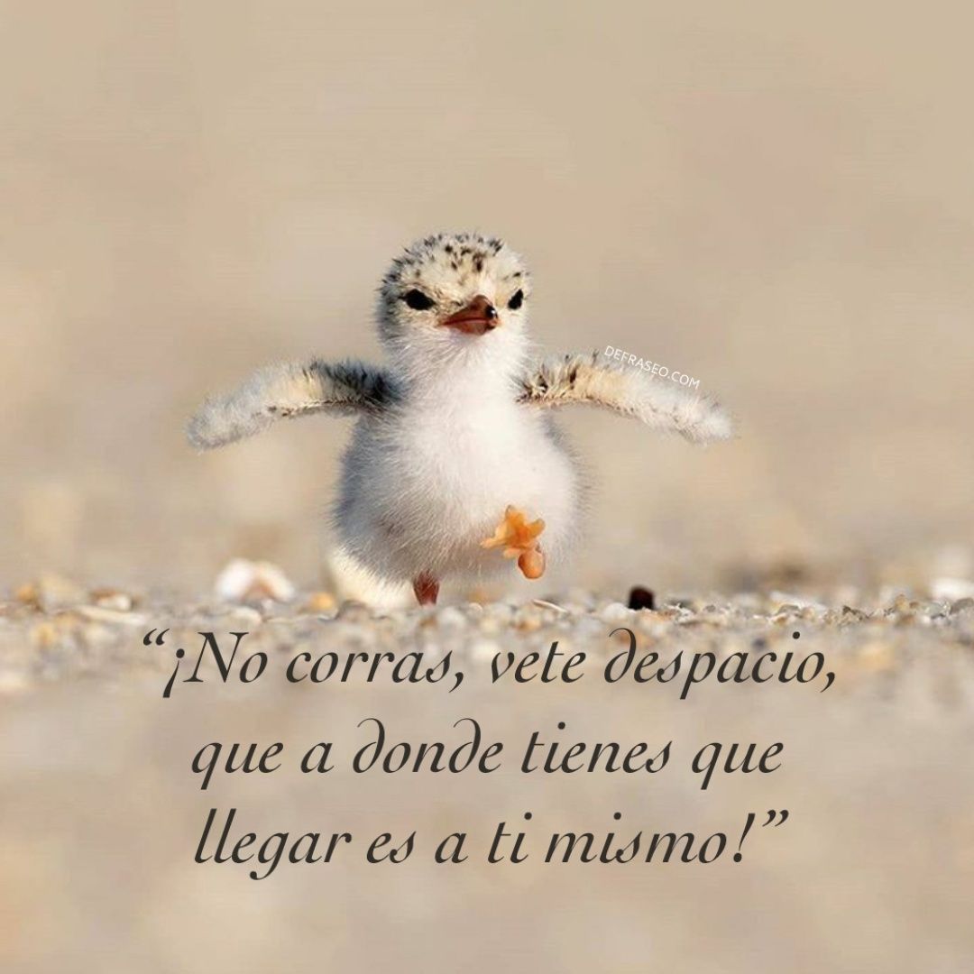 ¡No corras, vete despacio, que a dónde tienes que llegar es a ti mismo!