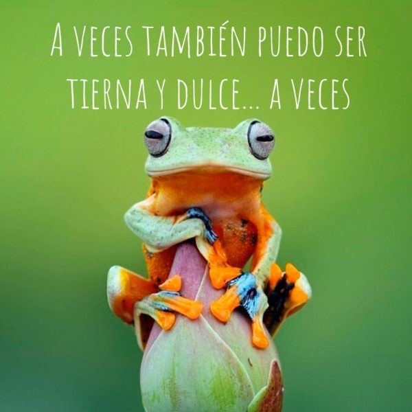 A veces también puedo ser tierna y dulce… a veces.