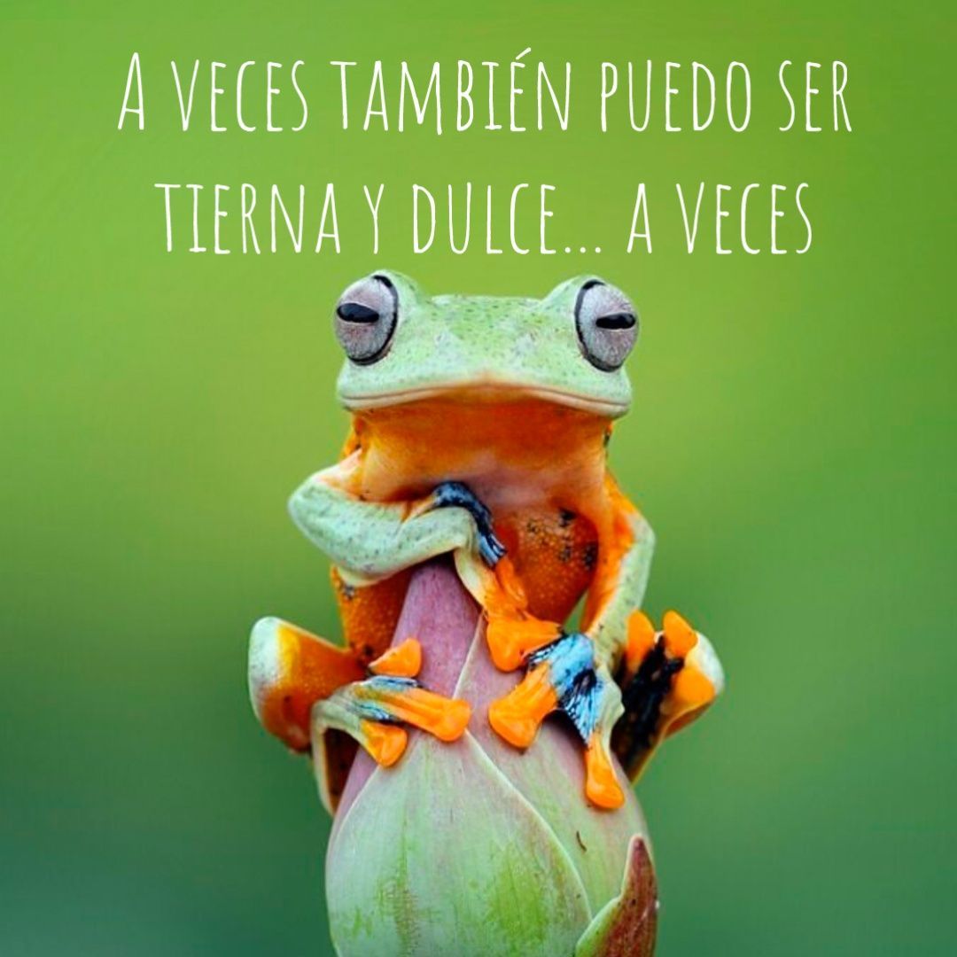 A veces también puedo ser tierna y dulce… a veces.