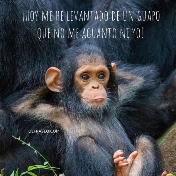 ¡Hoy me he levantado de un guapo que no me aguanto ni yo!