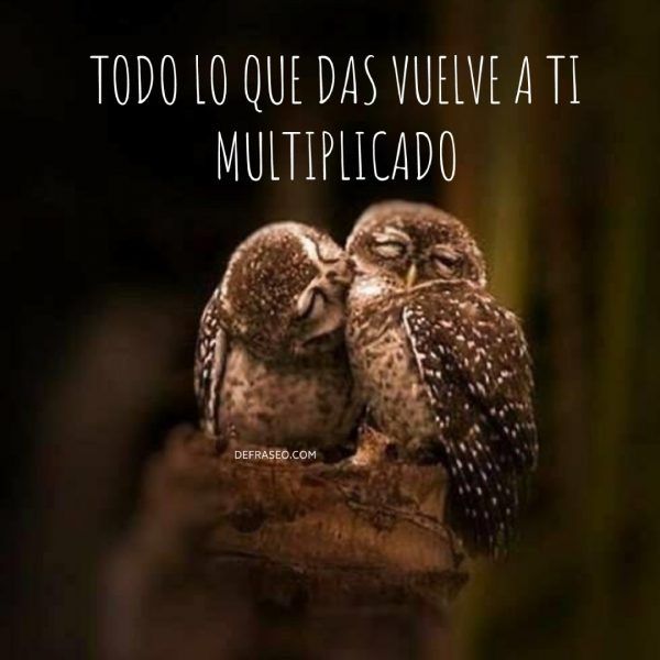 Todo lo que das vuelve a ti multiplicado.