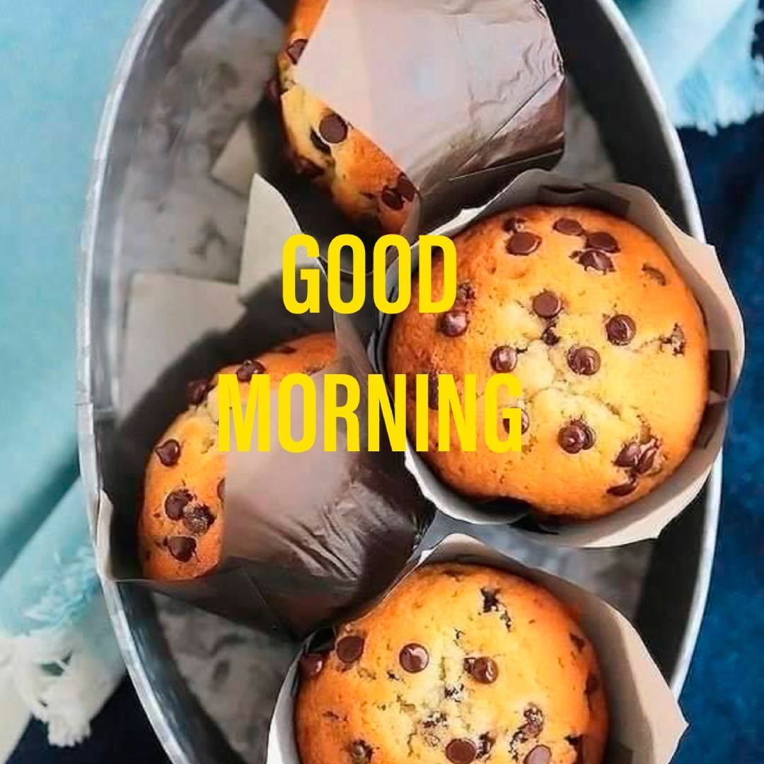 Good Morning