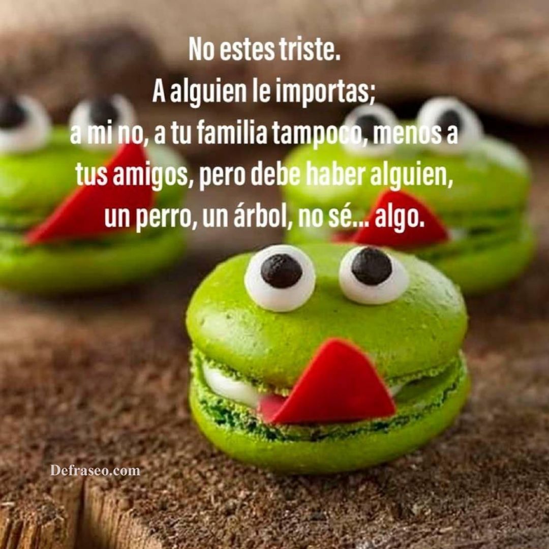 No estés triste. A alguien le importas; a mí no, a tu familia tampoco, menos a tus amigos, pero debe haber alguien, un perro, un árbol, no se… algo.