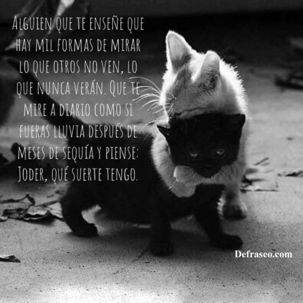 Alguien que te enseñe que hay mil formas de mirar lo que otros no ven, lo que nunca verán. Que te mire a diario como si fueras lluvia después de meses de sequía y piense: Joder, que suerte tengo.