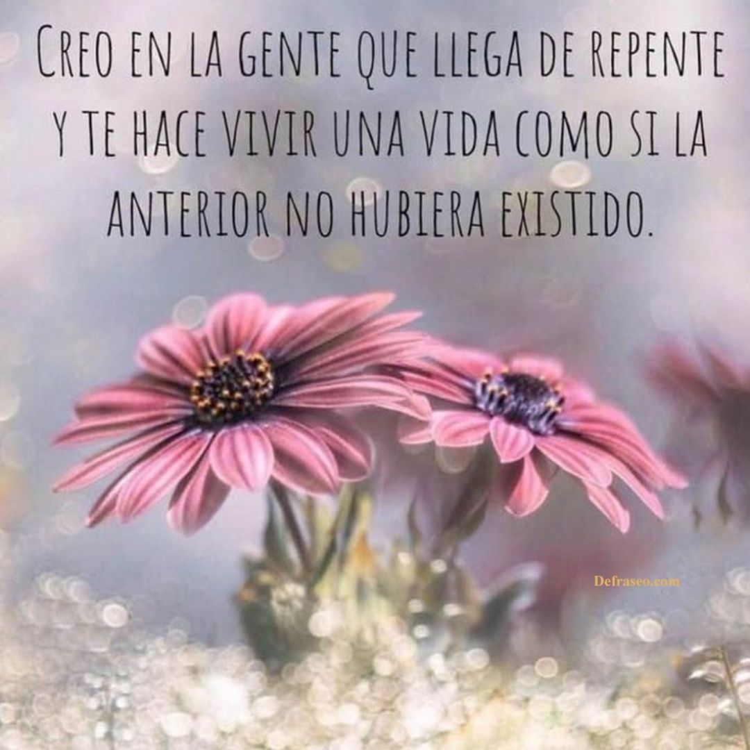 Creo en la gente que llega de repente y te hace vivir una vida como si la anterior no hubiera existido.