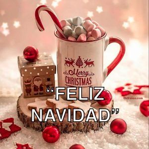 Feliz Navidad, Merry Christmas.