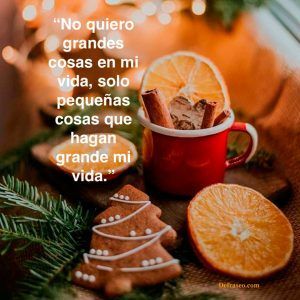 No quiero grandes cosas en mi vida, solo pequeñas cosas que hagan grande mi vida.