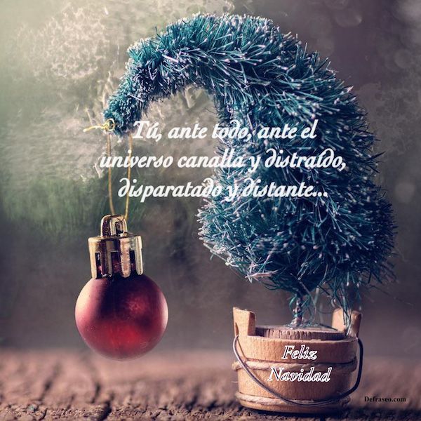 Tú, ante todo, ante el universo canalla y distraído, disparatado y distante. Feliz Navidad.
