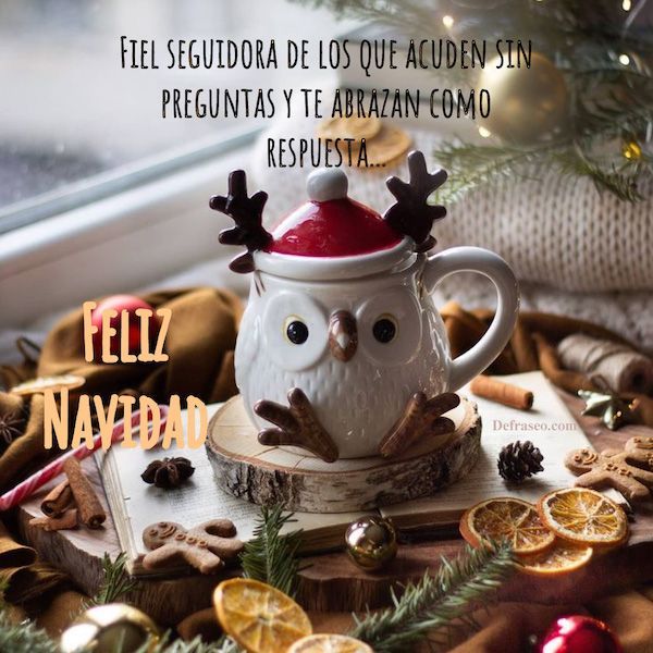 Fiel seguidora de los que acuden sin preguntas y te abrazan como respuesta. Feliz Navidad.
