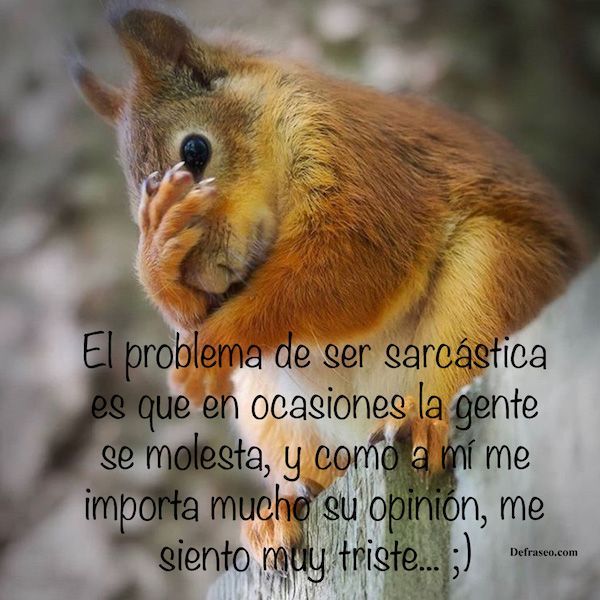 El problema de ser sarcástica es que en ocasiones la gente se molesta, y como a mí me importa mucho su opinión, me siento muy triste... ;)