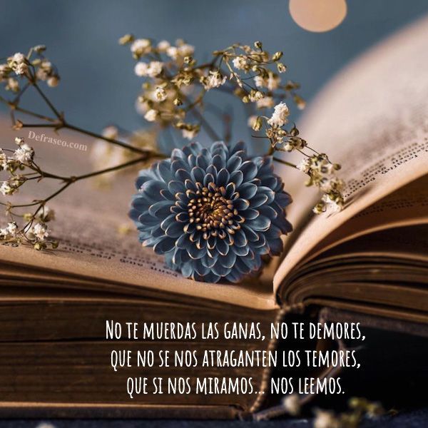 No te muerdas las ganas, no te demores, que no se nos atraganten los temores, que si nos miramos…nos leemos.