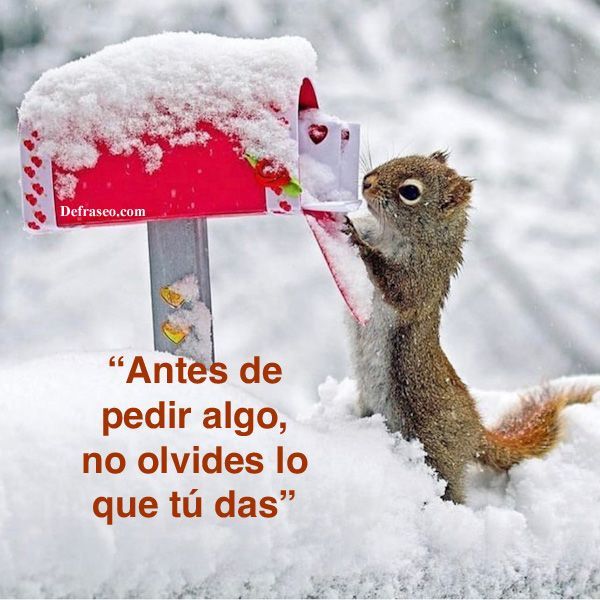 Antes de pedir algo, no olvides lo que tú das.