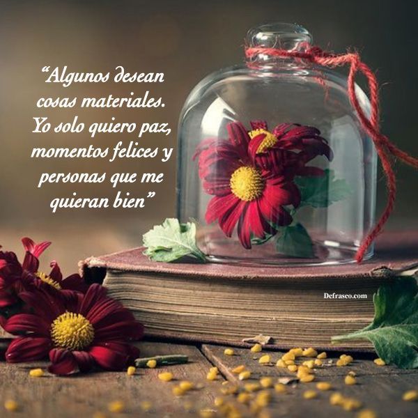Algunos desean cosas materiales. Yo solo quiero paz, momentos felices y personas que me quieran bien.