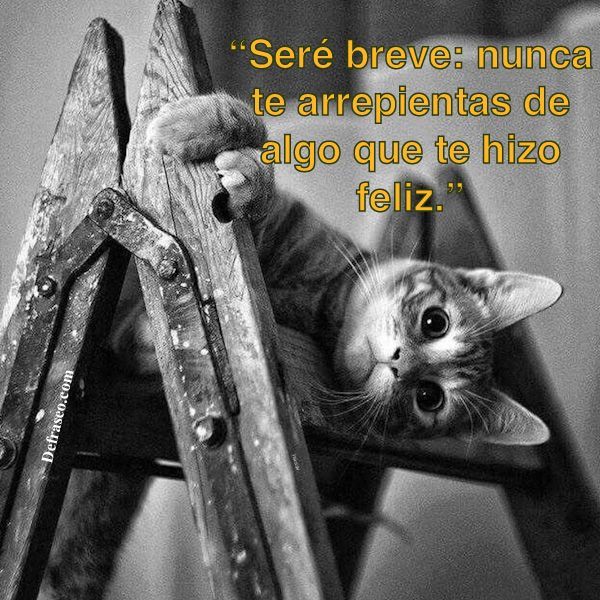 Seré breve: nunca te arrepientas de algo que te hizo feliz.