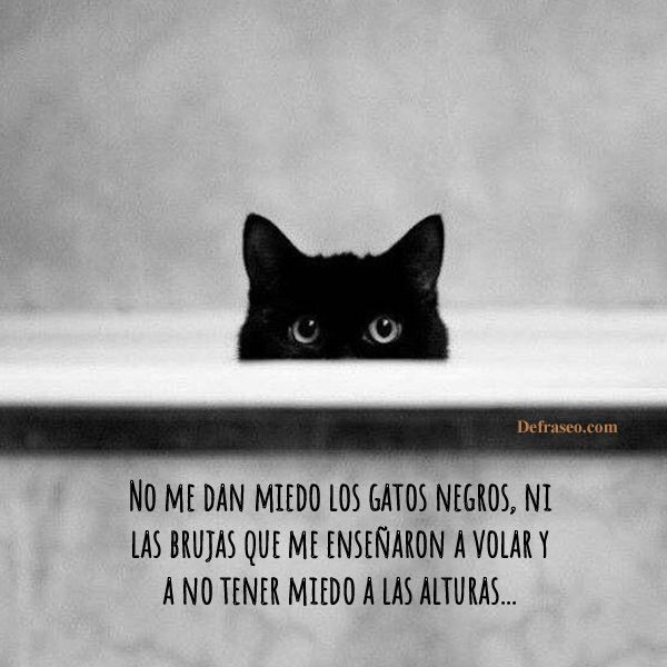 No me dan miedo los gatos negros, ni las brujas que me enseñaron a volar y a no tener miedo a las alturas...