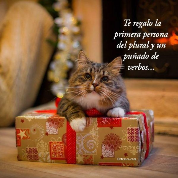 Te regalo la primera persona del plural y un puñado de verbos...