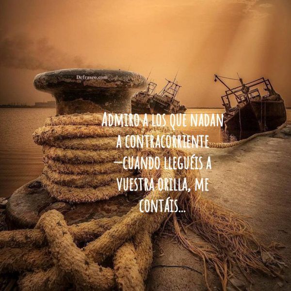 Admiro a todos los que nadan contracorriente; cuando lleguéis a vuestra orilla, me contáis...