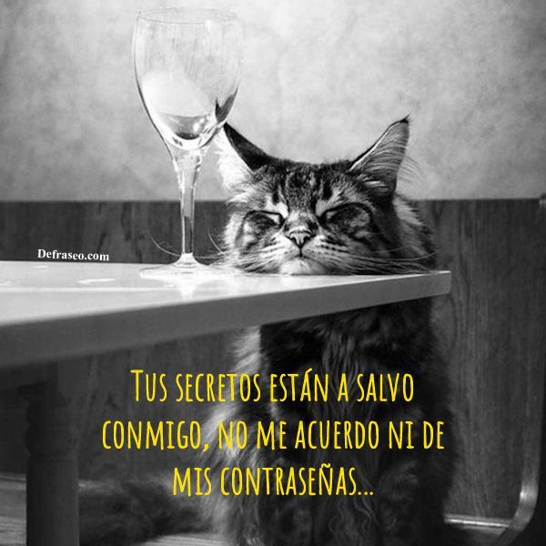 Tus secretos están a salvo conmigo, no me acuerdo ni de mis contraseñas...