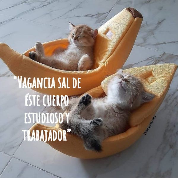 Vagancia sal de éste cuerpo estudioso y trabajador.