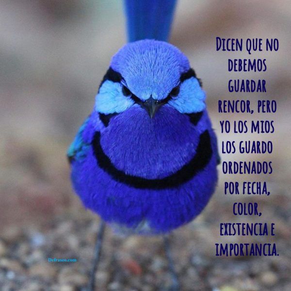 Dicen que no debemos guardar rencor, pero yo los míos los guardo ordenados por fecha, color, existencia e importancia.
