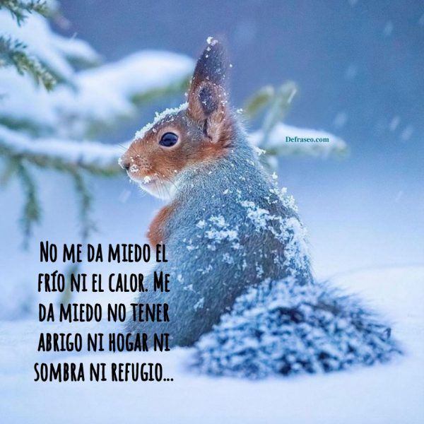No me da miedo el frío ni el calor. Me da miedo no tener abrigo ni hogar ni sombra ni refugio.