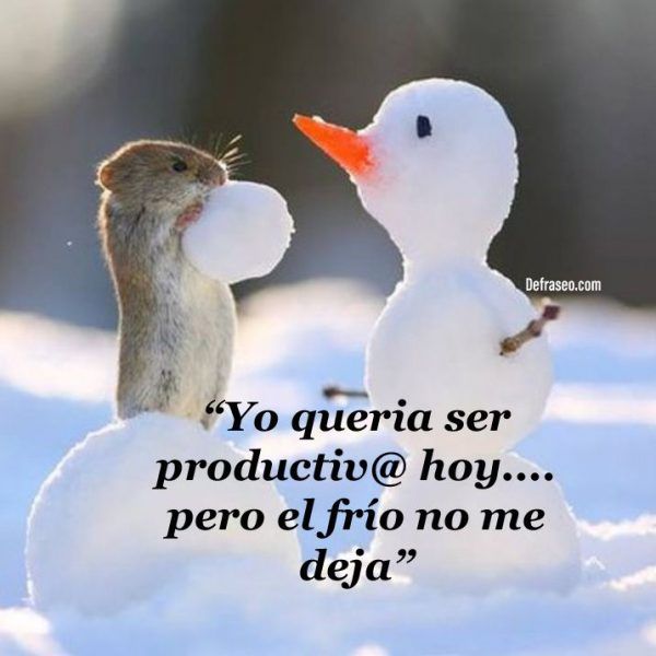 Yo quería ser productiv@ hoy... pero el frío no me deja.