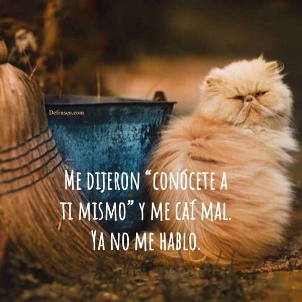 Me dijeron "conócete a ti mismo" y me caí mal. Ya no me hablo.