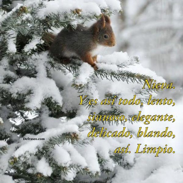 Nieva. Y es así todo, lento, sinuoso, elegante, delicado, blando, así. Limpio.
