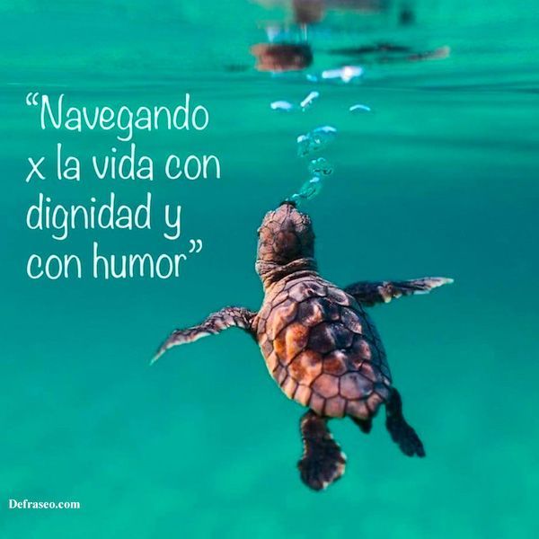 Navegando x la vida con dignidad y con humor.