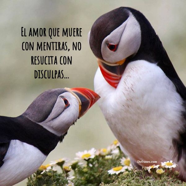 El amor que muere con mentiras, no resucita con disculpas.