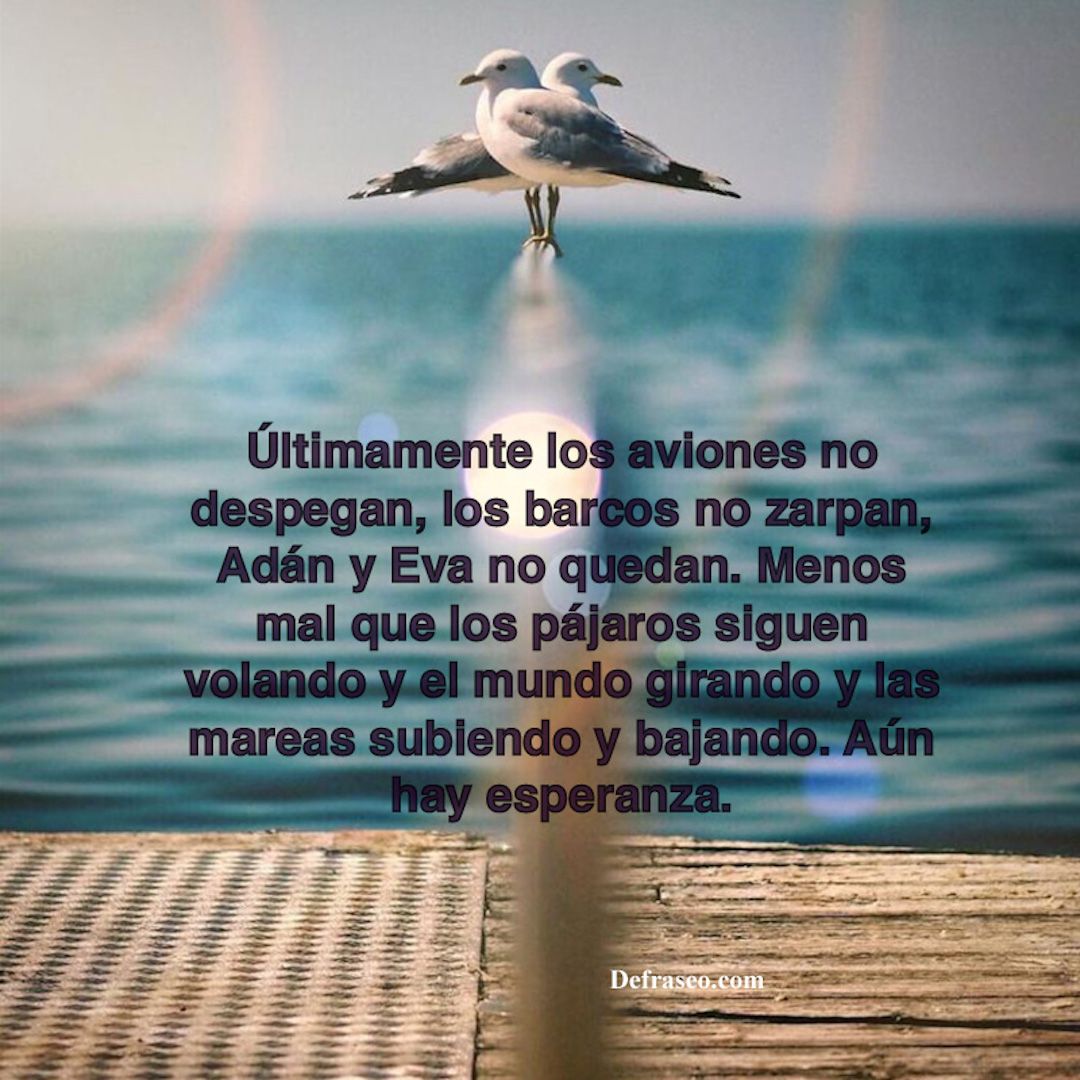 Últimamente los aviones no despegan, los barcos no zarpan, Adán y Eva no quedan. Menos mal que los pájaros siguen volando y el mundo girando y las mareas subiendo y bajando. Aún hay esperanza.
