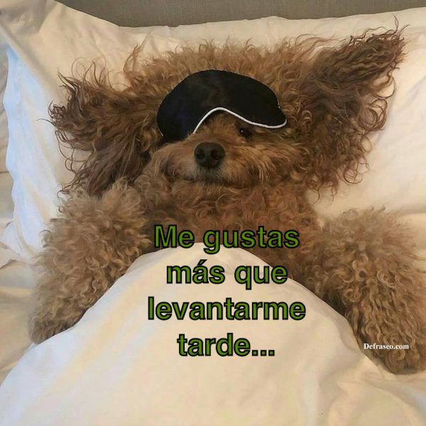 Me gustas más que levantarme tarde...
