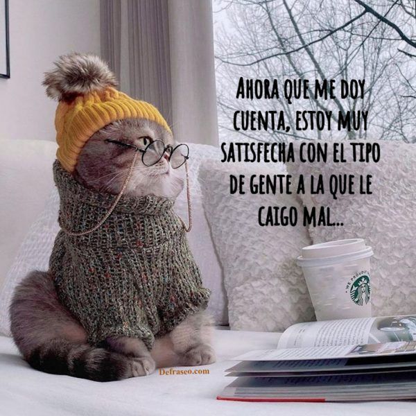 Ahora que me doy cuenta, estoy muy satisfecha con el tipo de gente a la que le caigo mal...