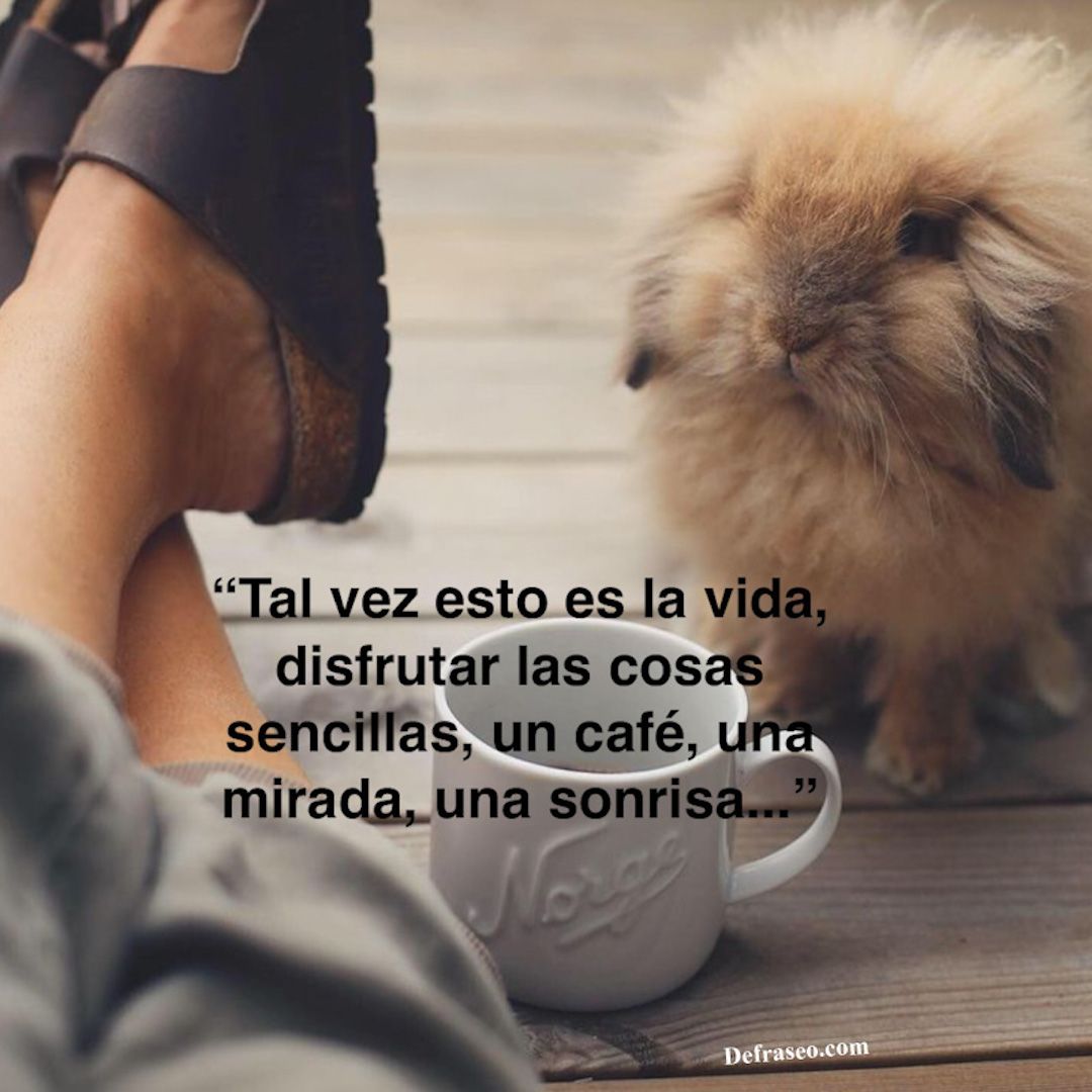 frases-de-reflexi-n-con-im-genes-defraseo