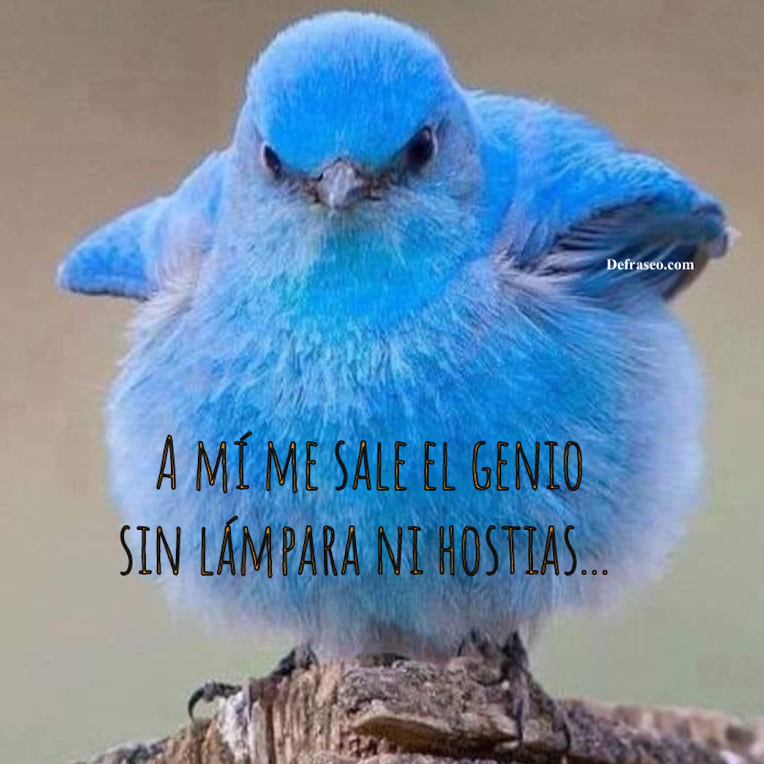 A mí me sale el genio sin lámpara ni hostias...