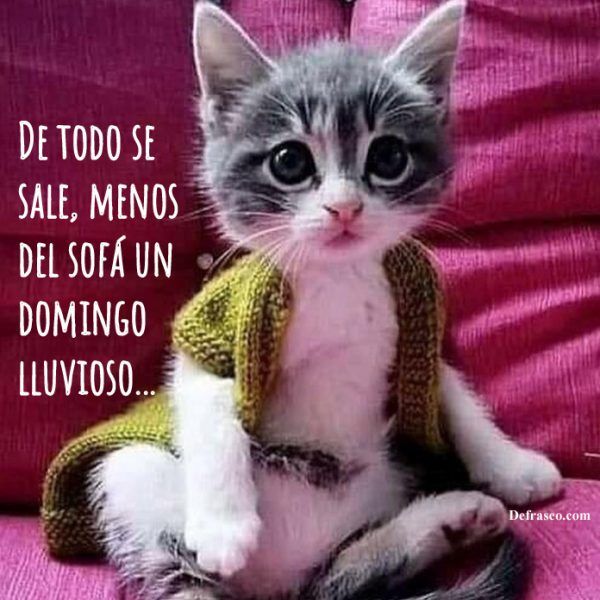 De todo se sale, menos del sofá un domingo lluvioso.
