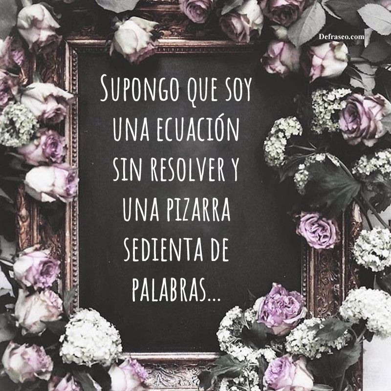 Supongo que soy una ecuación sin resolver y una pizarra sedienta de palabras.