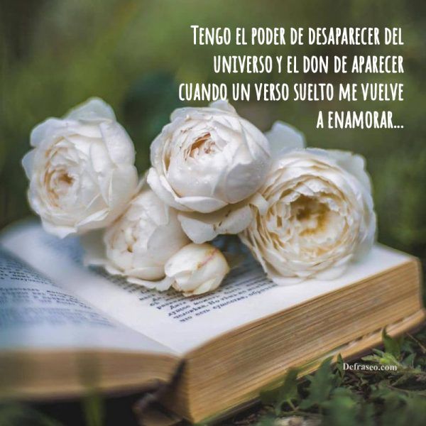 Tengo el poder de desaparecer del universo y el don de aparecer cuando un verso suelto me vuelve a enamorar.