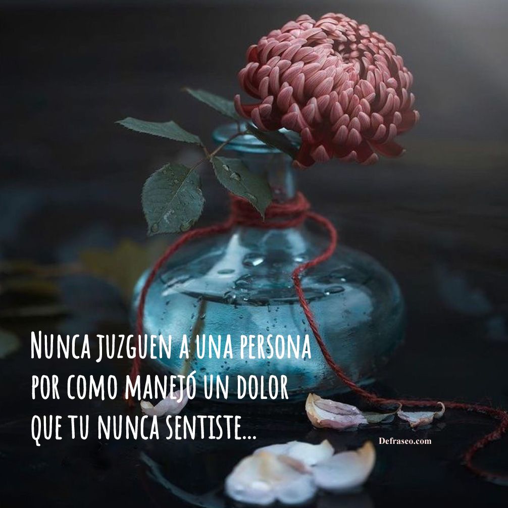 Nunca juzguen a una persona por como manejó un dolor que tu nunca sentiste.