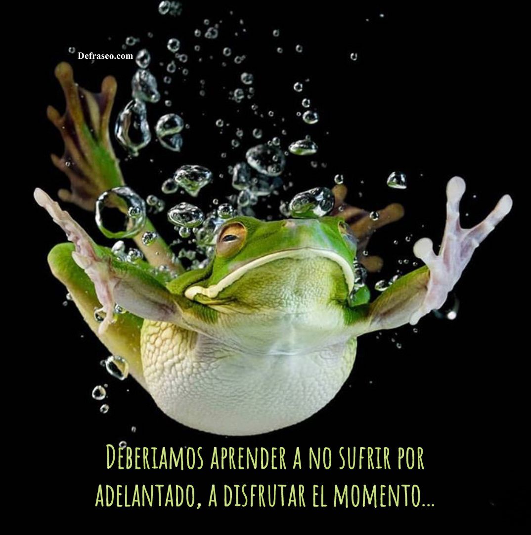 Deberíamos aprender a no sufrir por adelantado, a disfrutar el momento.